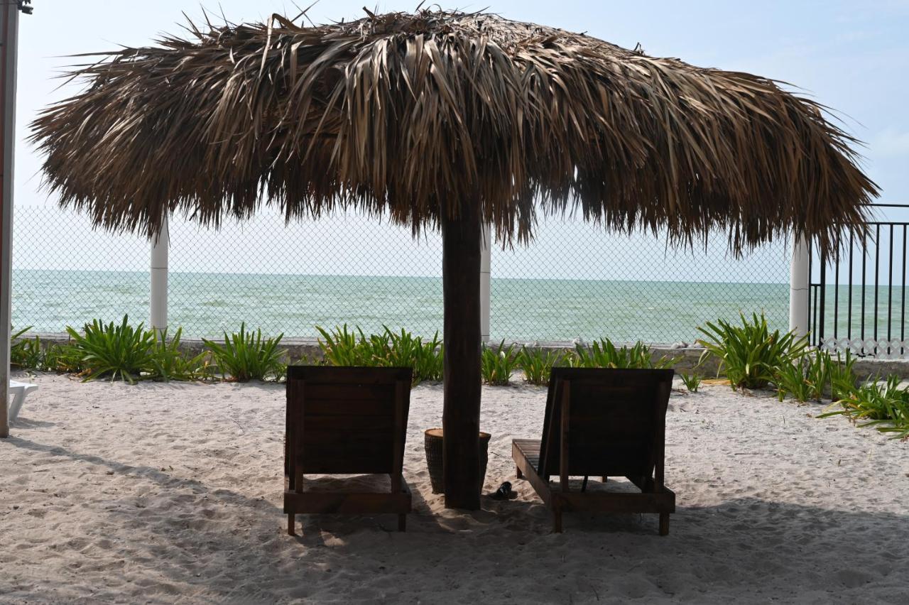La Casa Del Mexicano เซเลสตุน ภายนอก รูปภาพ