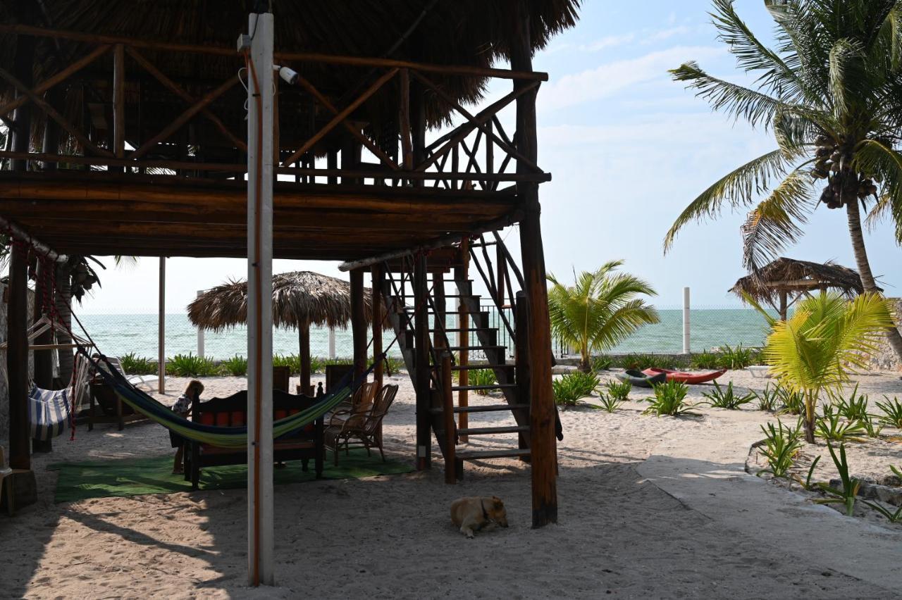La Casa Del Mexicano เซเลสตุน ภายนอก รูปภาพ